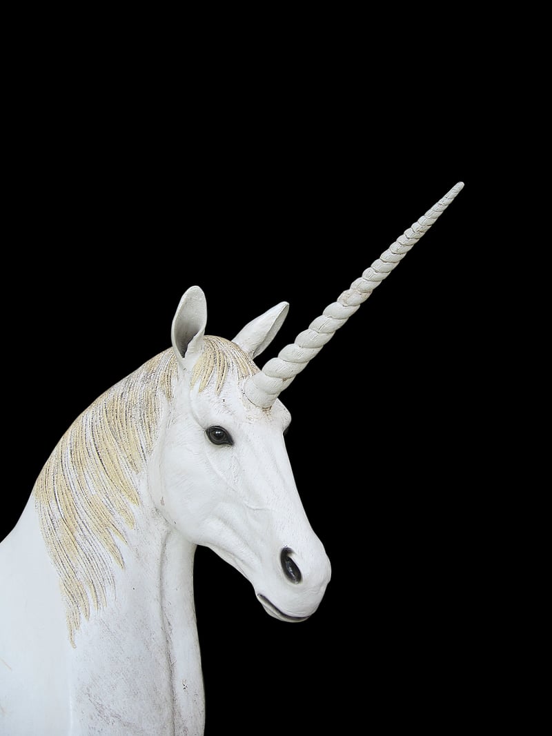 Unicorn Haven Retreat
