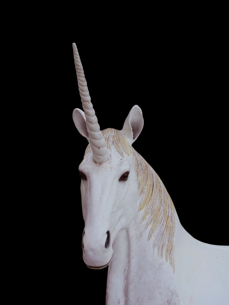 Majestic Unicorn